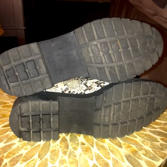 Steve Madden Guided Snake Combat Booties! - Picture 14 of 16